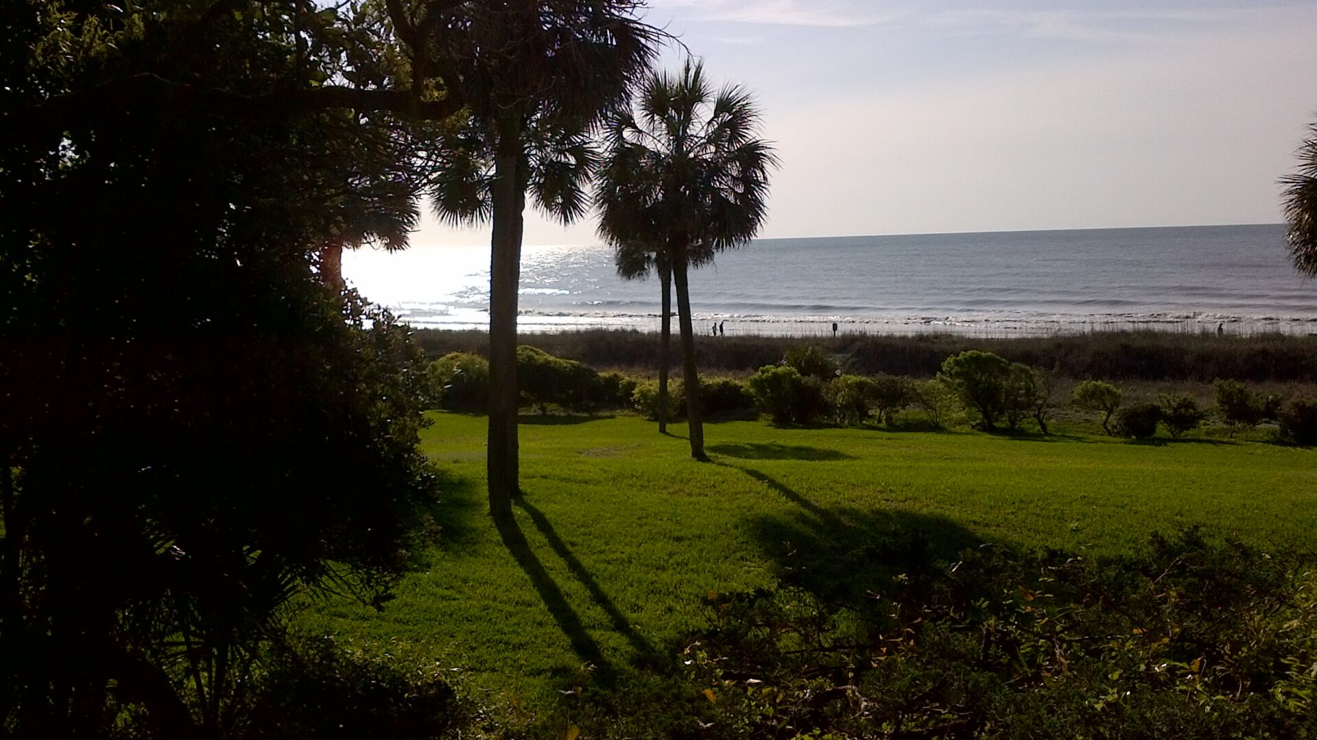 A view of the ocean from behind some trees.