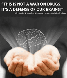 A person holding their hands out with a brain in the middle.