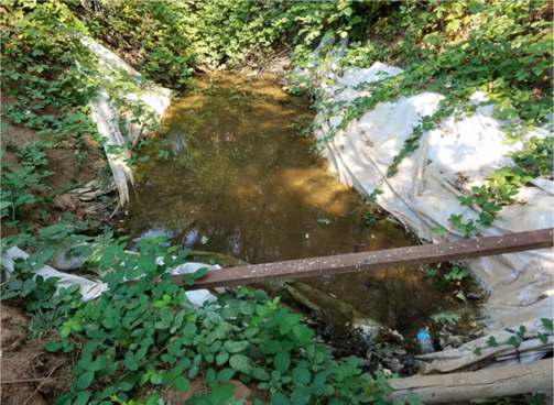 A dirty stream with trash and weeds growing on it.